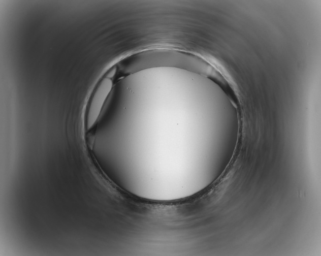 X0000088851238200707061027