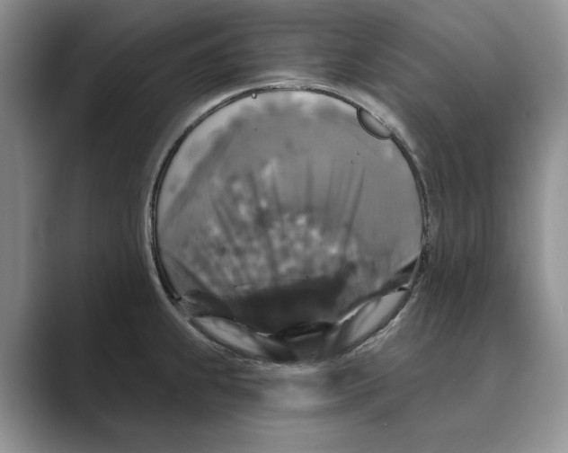 X0000088851239200707061027