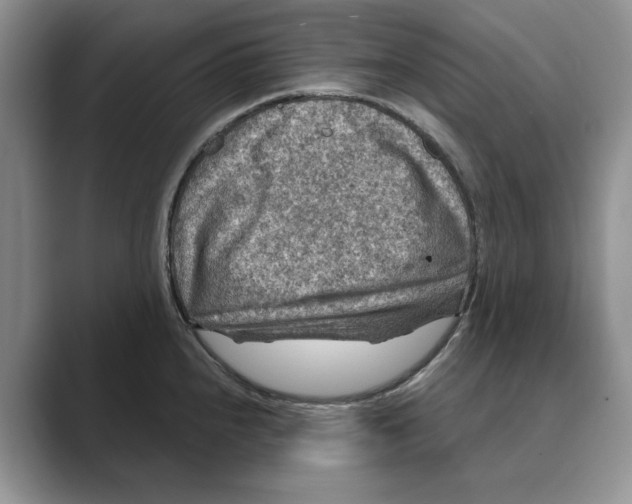 X0000088851240200707061027