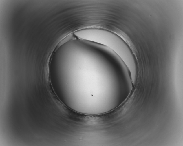 X0000088851242200707061027