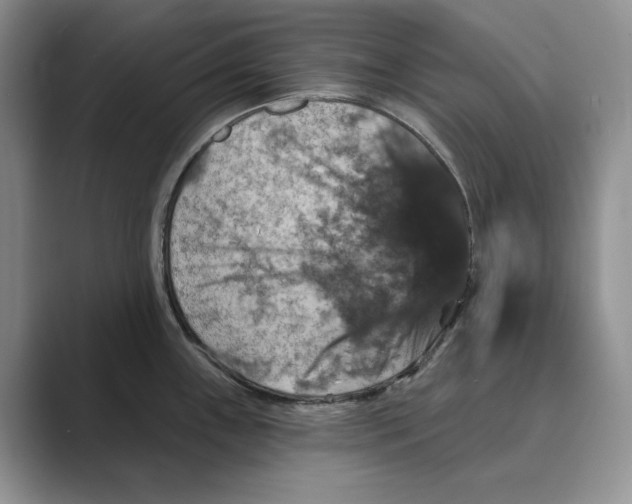 X0000088851243200707061027