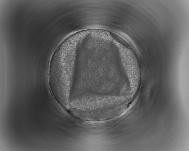 X0000088851244200707061027