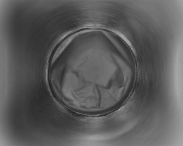 X0000088851245200707061027