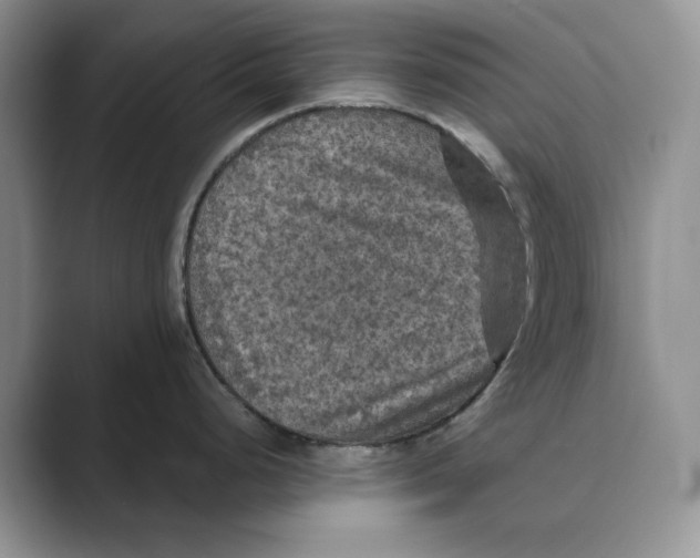 X0000088851248200707061027