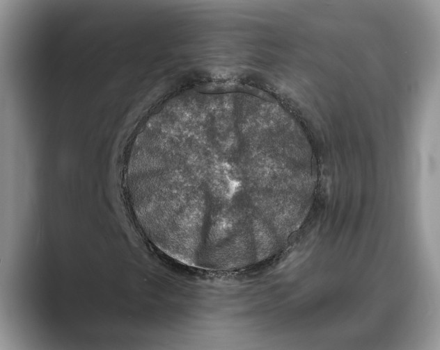 X0000088851249200707061026