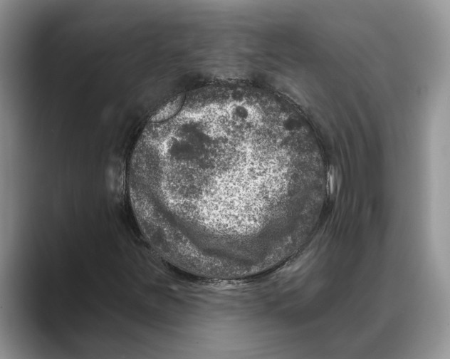 X0000088851251200707061026