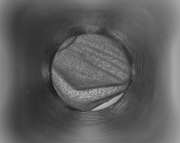 X0000088851252200707061026