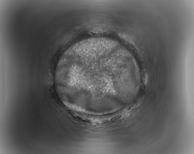 X0000088851253200707061026