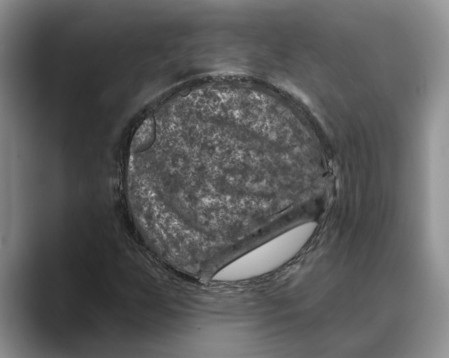 X0000088851255200707061026