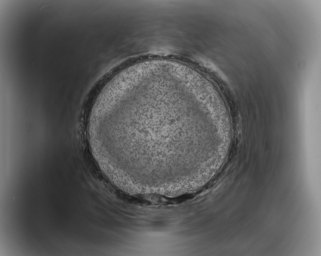 X0000088851256200707061026