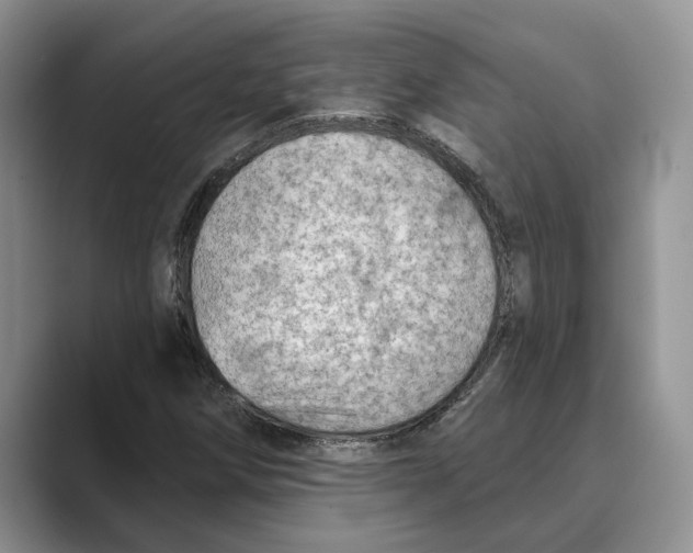 X0000088851258200707061026