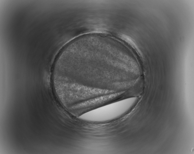 X0000088851260200707061026