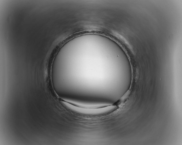 X0000088851261200707061026