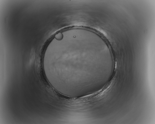 X0000088851263200707061026