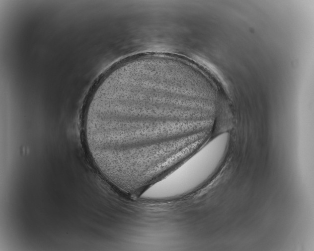 X0000088851264200707061026