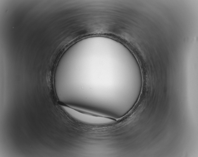 X0000088851265200707061026