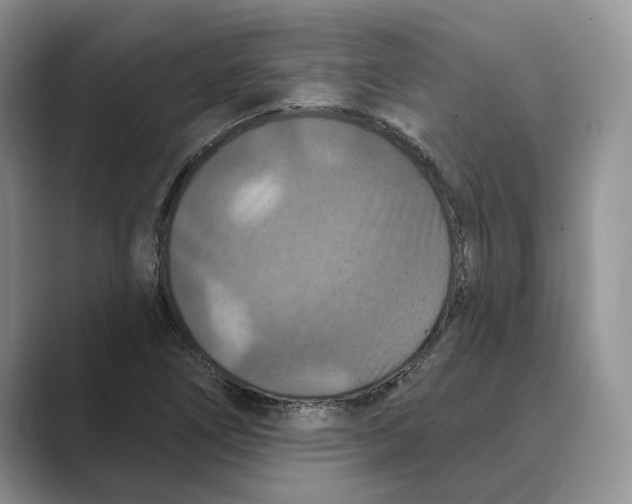 X0000088851266200707061026