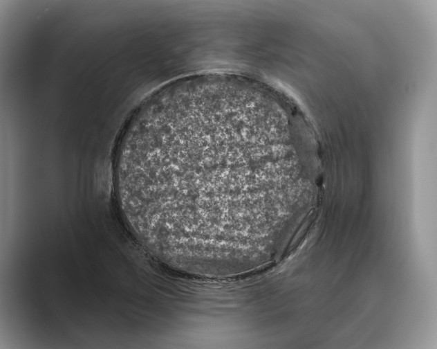 X0000088851267200707061026
