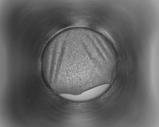 X0000088851268200707061026