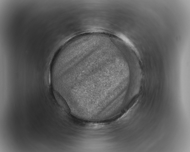 X0000088851269200707061026