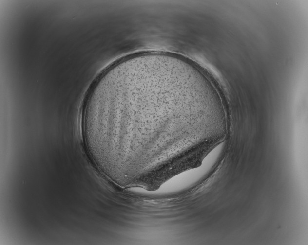 X0000088851272200707061026