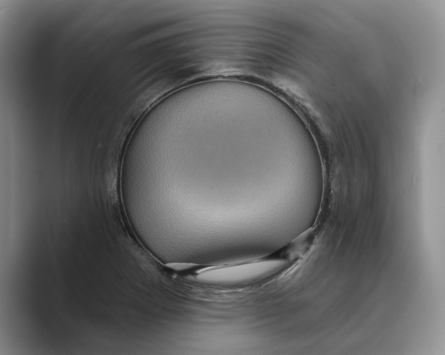 X0000088851273200707061026