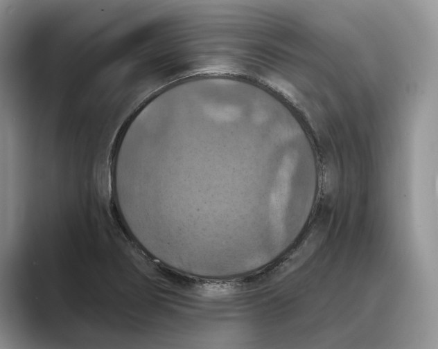 X0000088851274200707061026