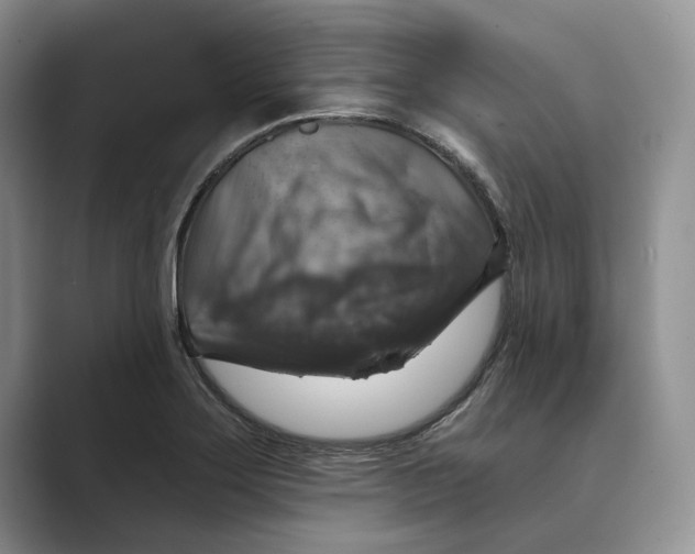 X0000088851275200707061026