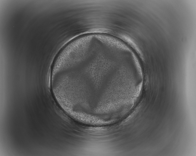 X0000088851276200707061026