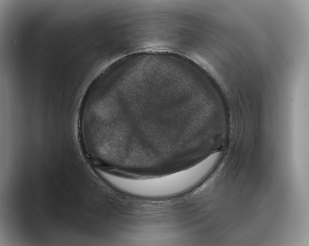 X0000088851277200707061026