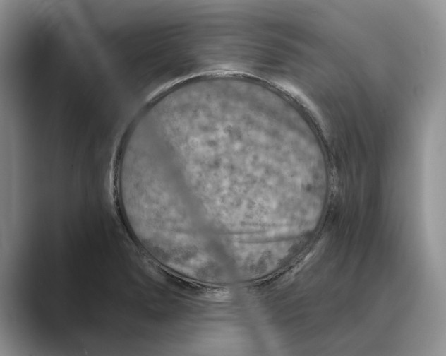 X0000088851278200707061026