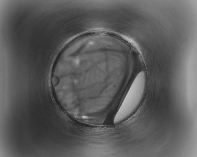 X0000088851279200707061026
