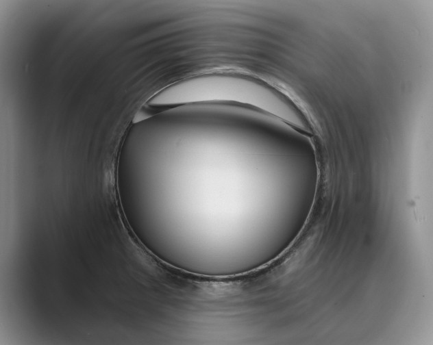 X0000088851281200707061026