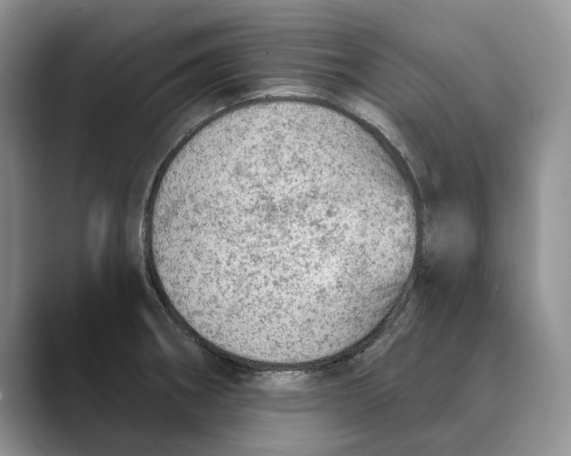 X0000088851282200707061026