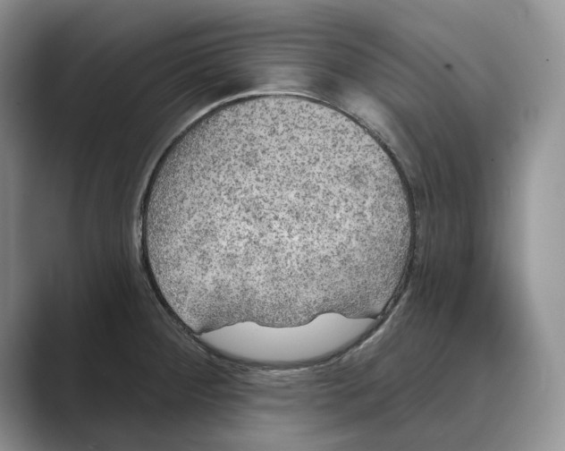 X0000088851284200707061026