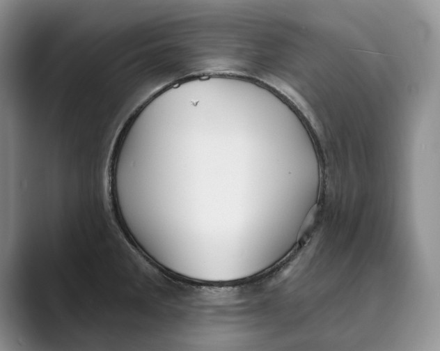 X0000088851285200707061026