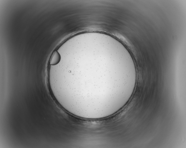 X0000088851286200707061026
