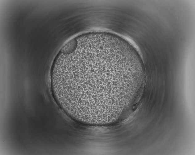 X0000088851287200707061026