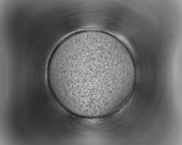 X0000088851288200707061026