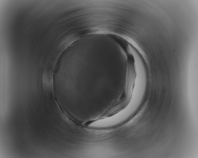 X0000088851289200707061026