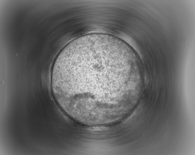 X0000088851290200707061026