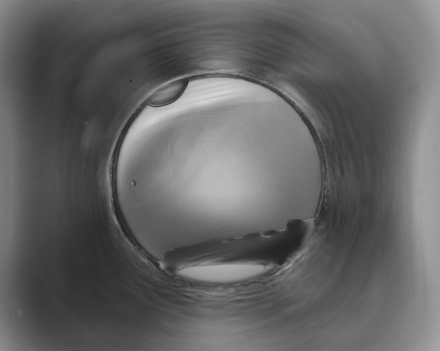 X0000088851291200707061026