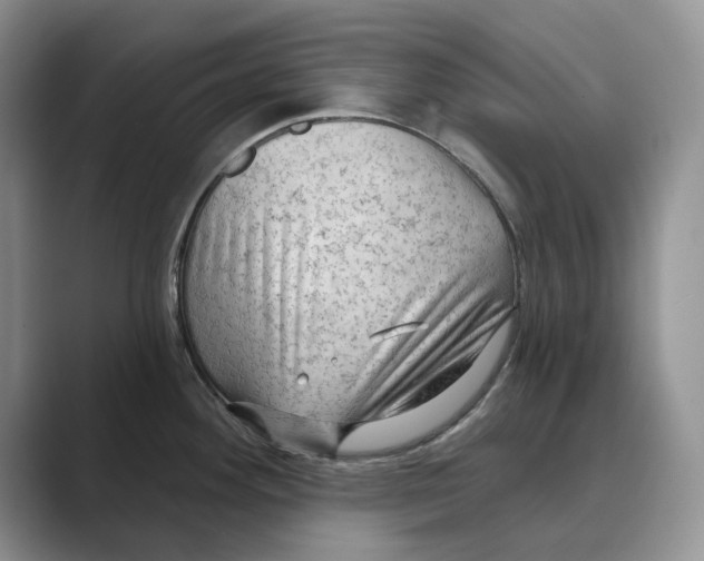 X0000088851292200707061026