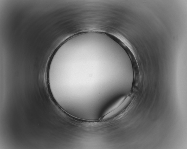 X0000088851293200707061026