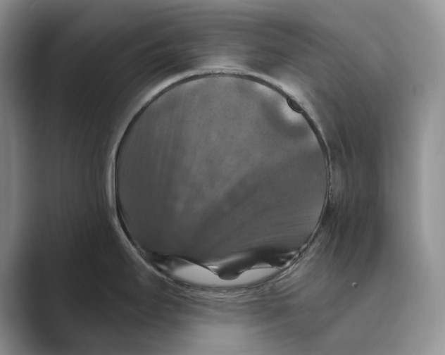 X0000088851295200707061026