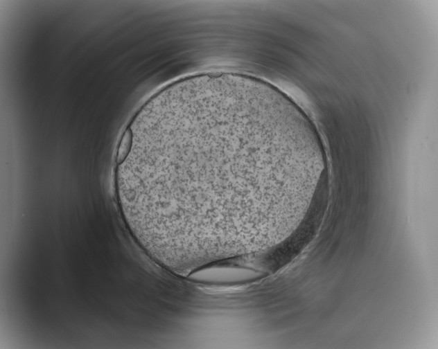 X0000088851296200707061026