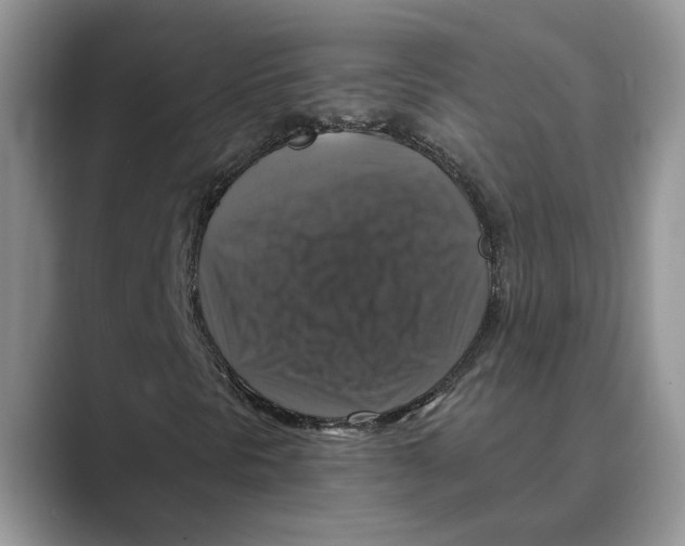 X0000088851297200707061025