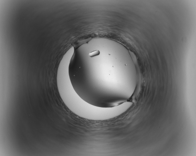 X0000088851298200707061025