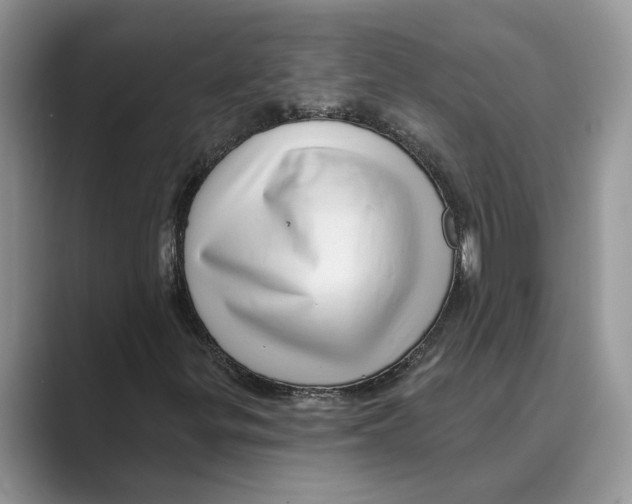 X0000088851299200707061025