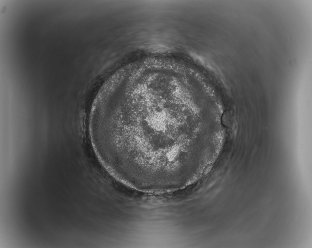 X0000088851301200707061025